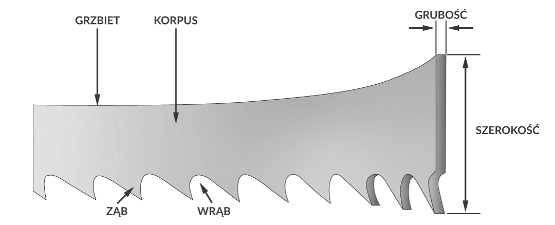 Parametry taśmy tnącej (brzeszczotu) do pilarki taśmowej | agencja-amk.pl Oznaczenie parametrów taśmy tnącej (brzeszczotu) do pilarki taśmowej