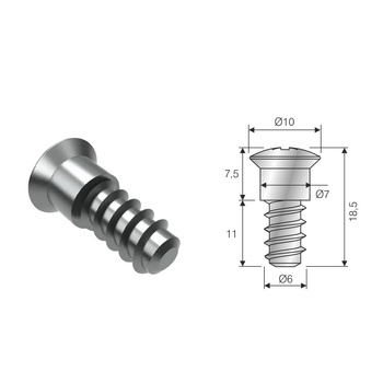 Trzpień ⌀6x11 mm Euro do złączki RAFFIX Economic