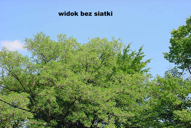 Moskitiera poliestrowa czarna 150X180cm z taśmą samoprzylepną