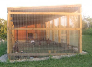 Siatka wolierowa, ogrodzeniowo-ochronna na zwierzęta naturalna szer. 150cm x 30m