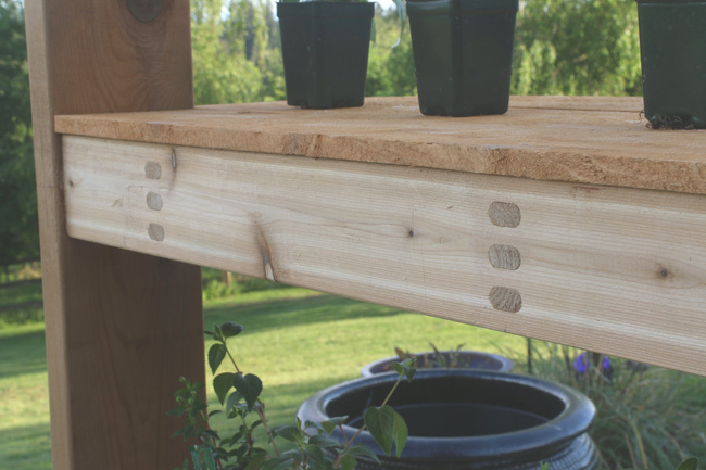 Szablon do potrójnych gniazd i czopów PantoRouter