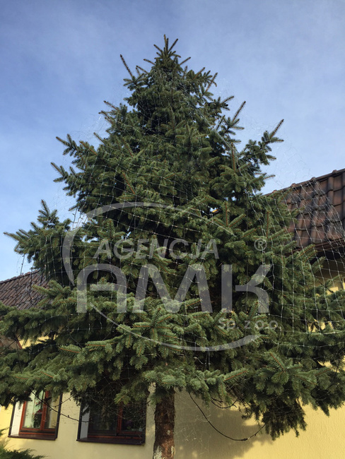 Siatka ochronna na gołębie szer. 200cm