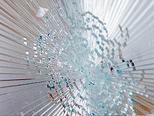 Folia antywłamaniowa 360 µm Amkafolie® 12MIL przeźroczysta szer. 1830 mm