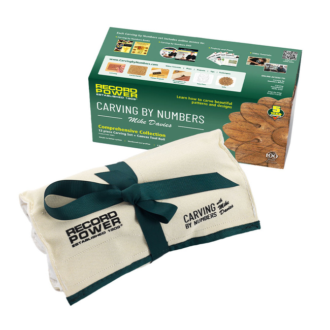 Zestaw 12 dłut rzeźbiarskich do drewna