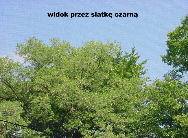 Moskitiera poliestrowa czarna 150X180cm z taśmą samoprzylepną