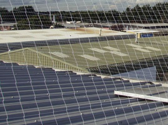 Siatka ochronna na gołębie szer. 200cm