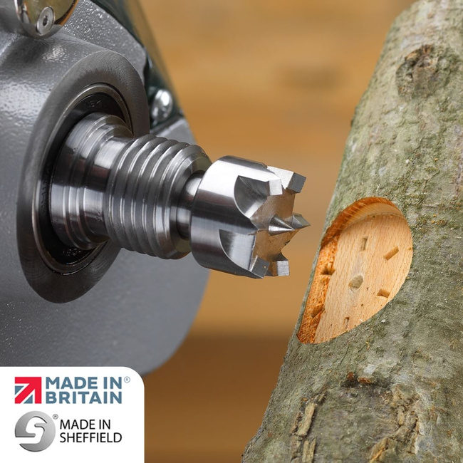 Kieł zabierakowy 6-zębny 16 mm MK2 Coronet Hawk