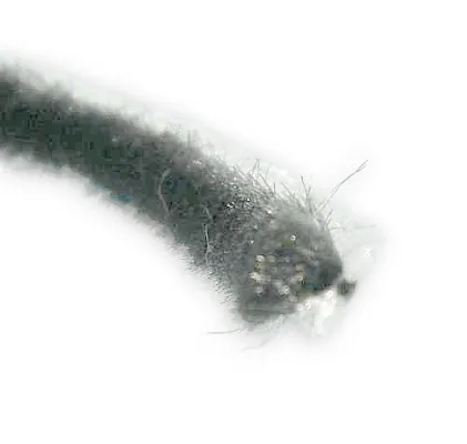 Uszczelka szczotkowa, pasek 4 mm do moskitiery - szary
